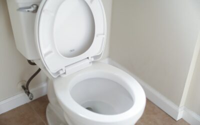 Toilet Won’t Unclog with Plunger: Complete Guide for Homeowners