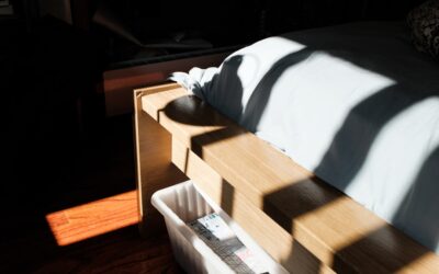 Under the Bed Storage Containers: Complete Guide for Homeowners