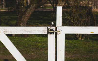 Vinyl Gate Latch: Complete Guide for Homeowners