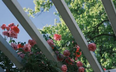 Vinyl Pergola Kits: Complete Guide for Homeowners