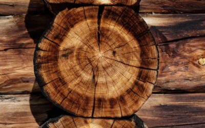 Wood Rot Epoxy: Complete Guide for Homeowners