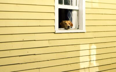 Yellow Vinyl Siding: Complete Guide for Homeowners