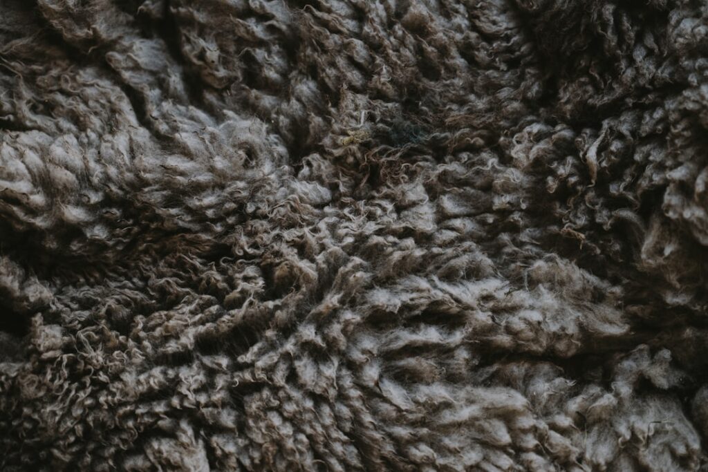 10×10 Wool Rug: Sizes and Buying Guide
