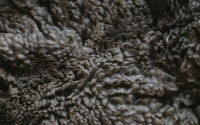 10×10 Wool Rug: Sizes and Buying Guide