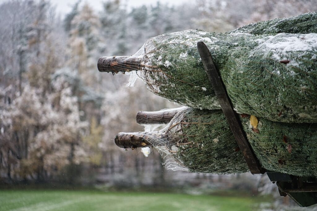 Artificial Christmas Tree Storage Bag: Complete Guide for Homeowners