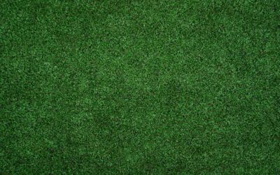 Artificial Turf Carpet: Complete Guide for Homeowners
