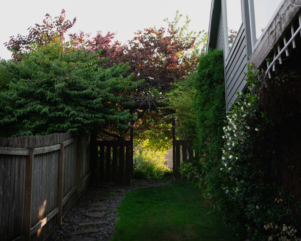 Backyard Low-Budget Privacy Screen Ideas