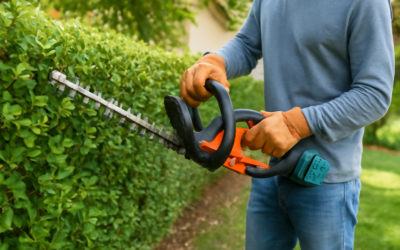 Battery Operated Hedge Trimmers: A Buying Guide