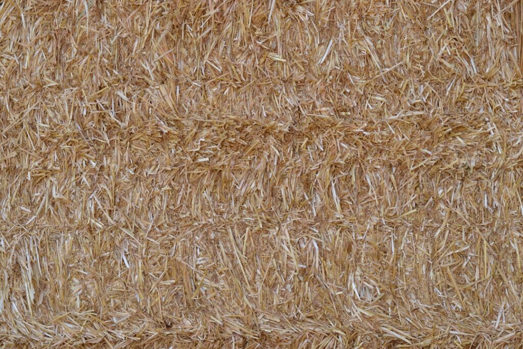 Beige Shag Rug: Complete Guide for Homeowners