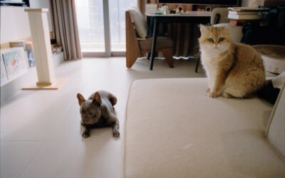 Best Flooring for Living Room with Pets: Top Picks and Buying Guide
