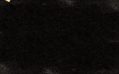Black Area Rug 8×10: Complete Guide for Homeowners