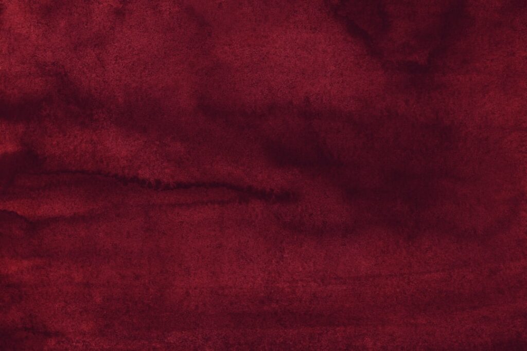 Burgundy Area Rug: Complete Guide for Homeowners