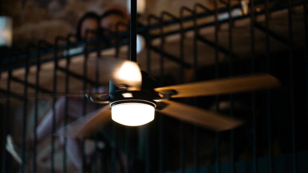 Caged Ceiling Fan: Industrial Style Guide