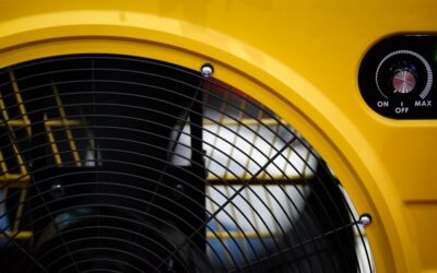 Carpet Dryer Blower: Complete Guide for Homeowners