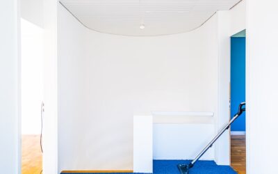 Carpet Extractor for Rent: A Complete Guide for Homeowners