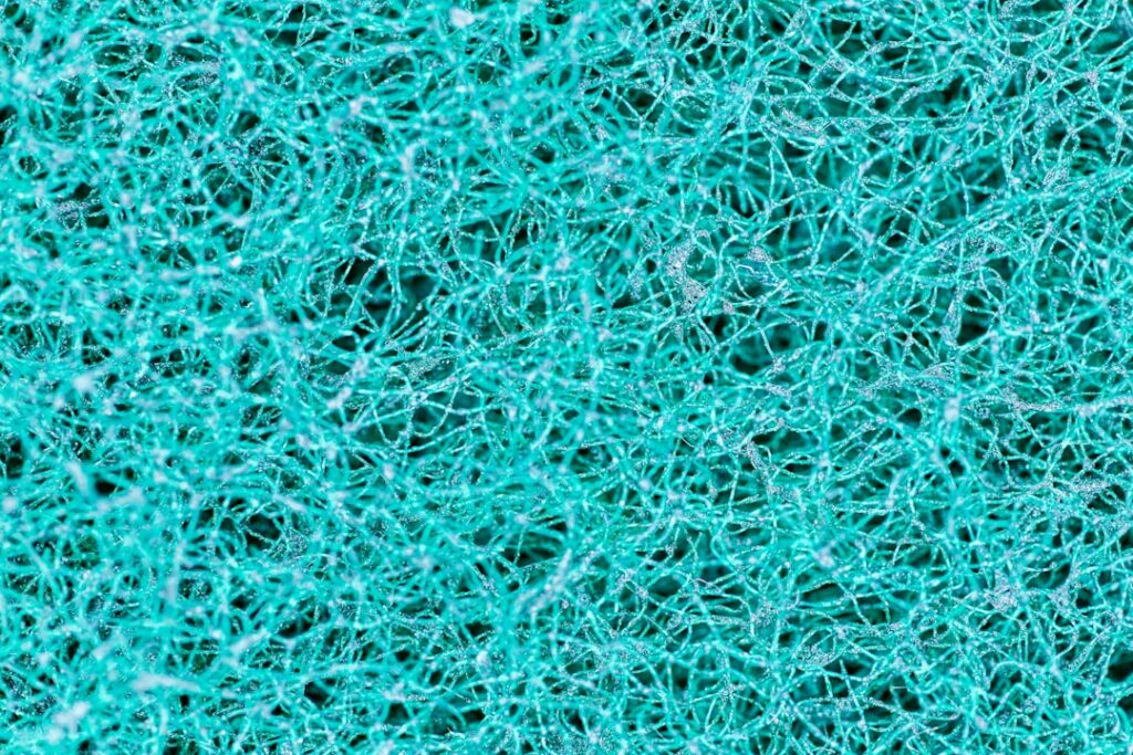Carpet in Minneapolis: The Complete Guide for Homeowners