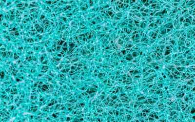 Carpet in Minneapolis: The Complete Guide for Homeowners