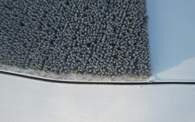 Carpet Reducer: A Complete Guide for Homeowners