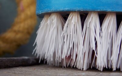 Carpet Scrubber Brush: Top Picks and Buying Guide