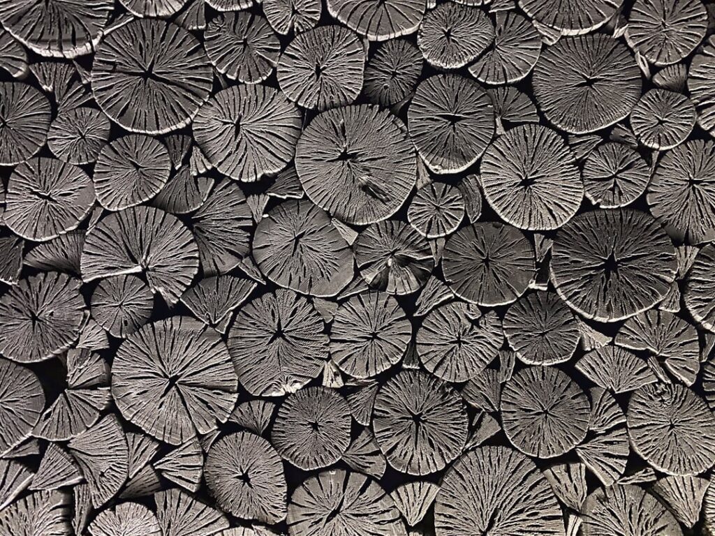 Charcoal Tile: Complete Guide for Homeowners