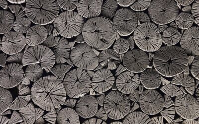 Charcoal Tile: Complete Guide for Homeowners