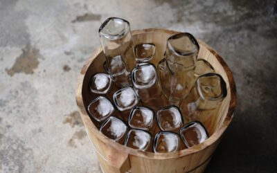 Cleaning an Ice Maker With Vinegar