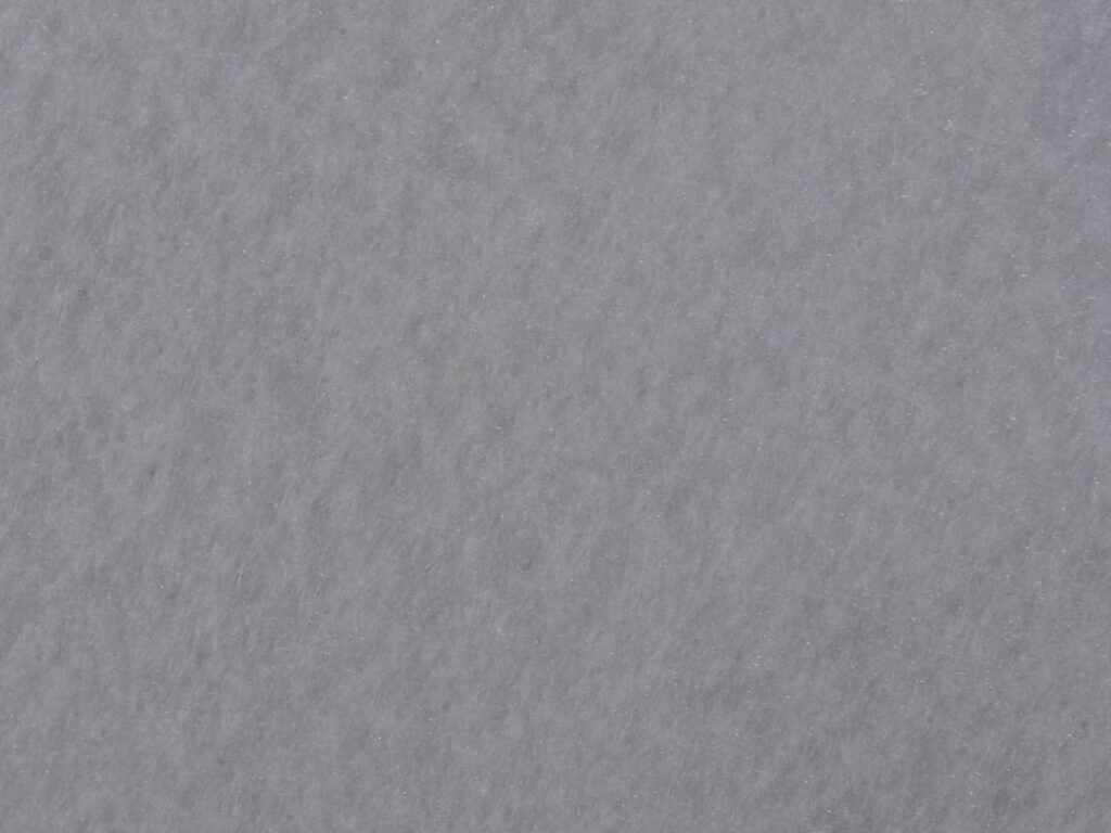 Cool Gray vs Warm Gray: How to Tell and Choose