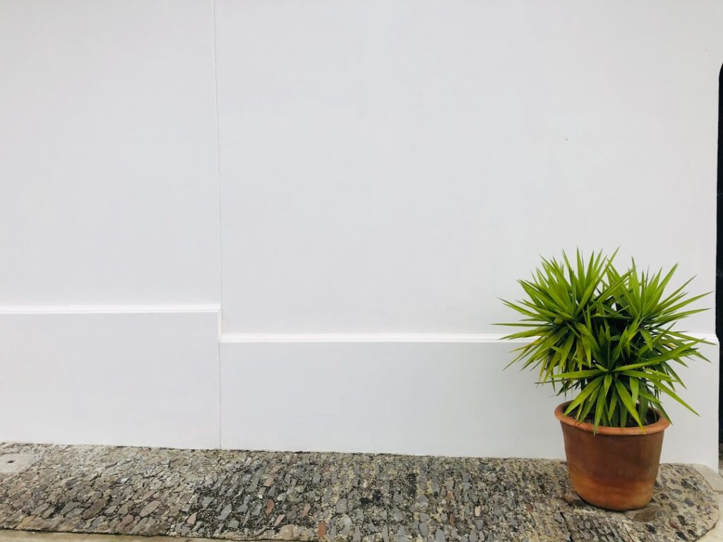 Decorative Baseboard: The Complete Guide for Homeowners