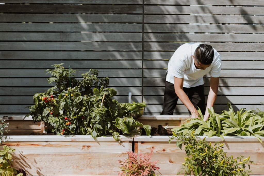Apartment Gardening: Small-Space Ideas