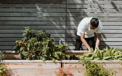 Apartment Gardening: Small-Space Ideas