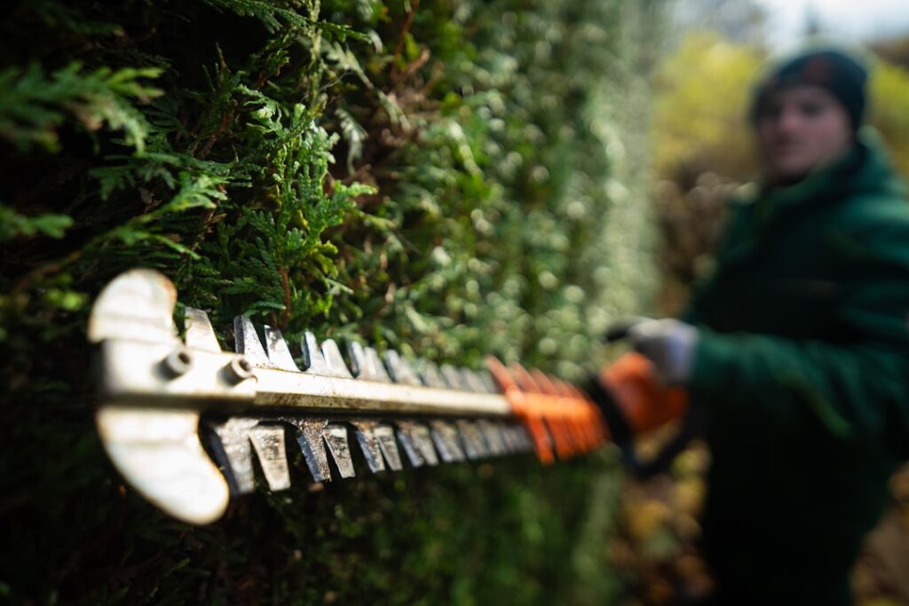 Best Hedge Shears: Buying and Use Guide