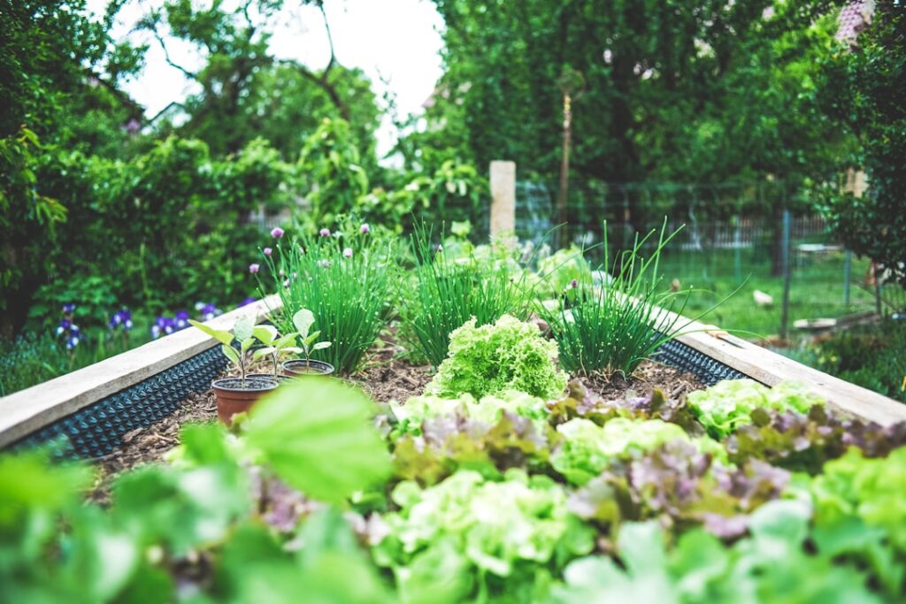 Best Metal Raised Garden Beds: Top Picks