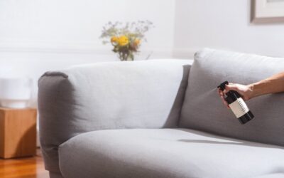 Carpet Odor Eliminator Spray: Best Options and How-To