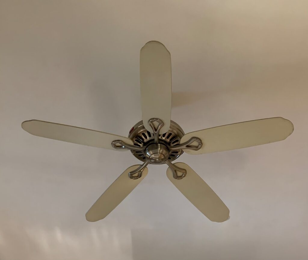 Ceiling Fan Cover Plate: Types and Install