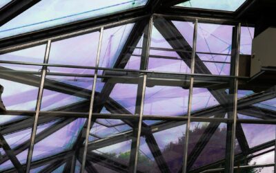 Clear Roof Panels: Daylight Options for Patios & Sheds