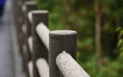 Concrete Curbing: Landscape Edging Guide