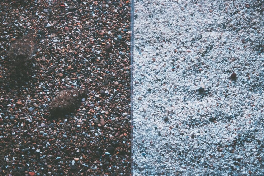 Concrete Mites vs Chiggers: Key Differences