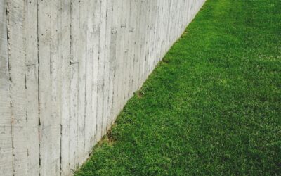 Concrete Mow Strip: Design, Specs & Installation