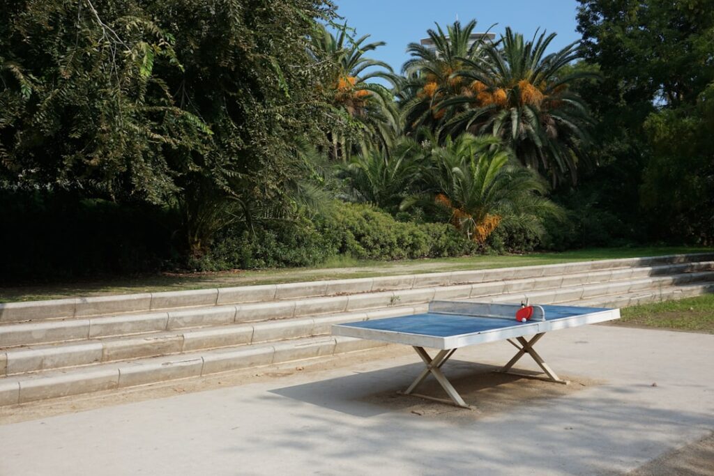 Concrete Ping Pong Table: Outdoor Buying Guide