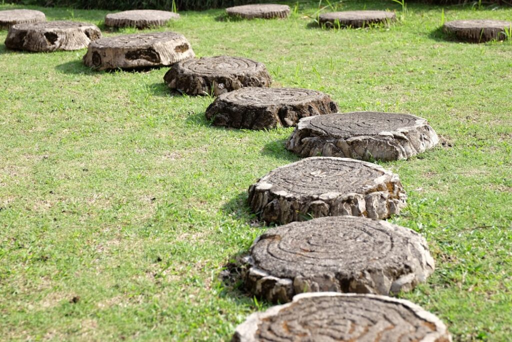 Concrete Stepping Stone Kit: Best Kits and DIY How-To