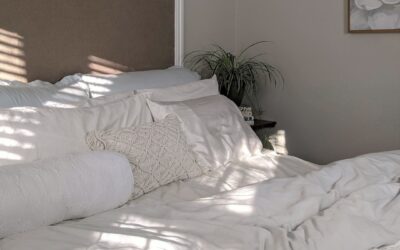 Cozy Calm Bedroom Paint Colors: Soothing Shades