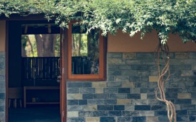 Exterior Door With Window That Opens: Options Guide