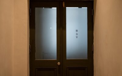 Frosted Glass Interior Door: Privacy Guide