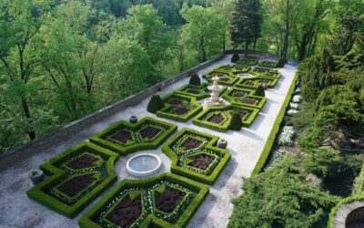 Garden Layout Companion Planting: Plans That Work