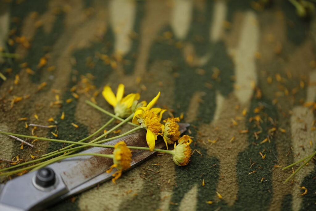 Garden Scissors: Types and Best Uses