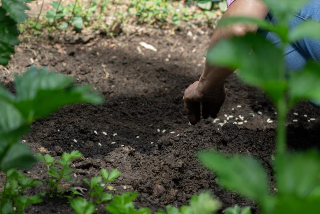 Garden Soil vs Potting Soil: Real Differences