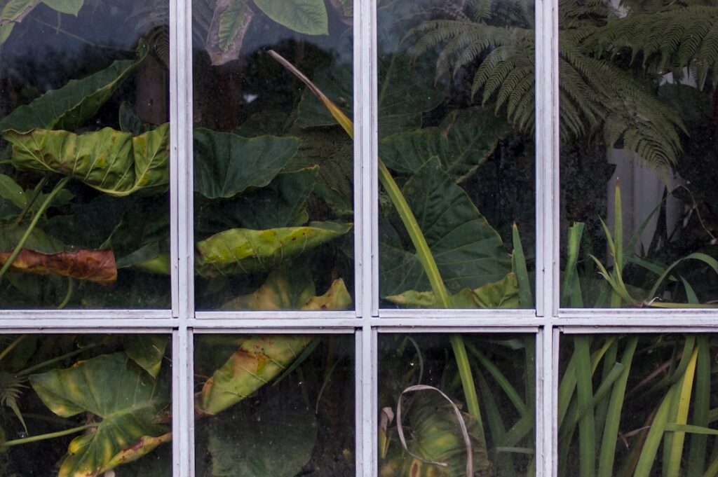 Garden Window Replacement: What to Know Before You Buy