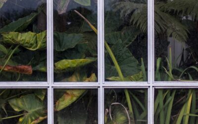 Garden Window Replacement: What to Know Before You Buy