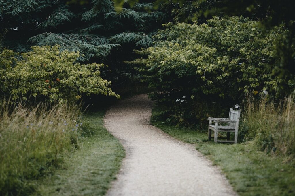 Gardening Bench: Buying and DIY Guide