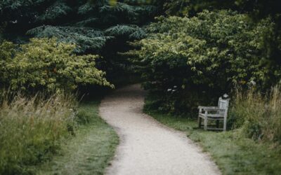 Gardening Bench: Buying and DIY Guide